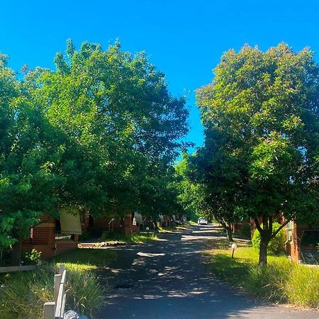 Mount Waverley Townhouses Exteriör bild