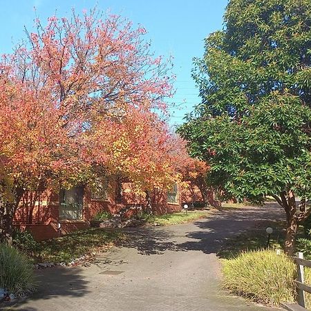 Mount Waverley Townhouses Exteriör bild