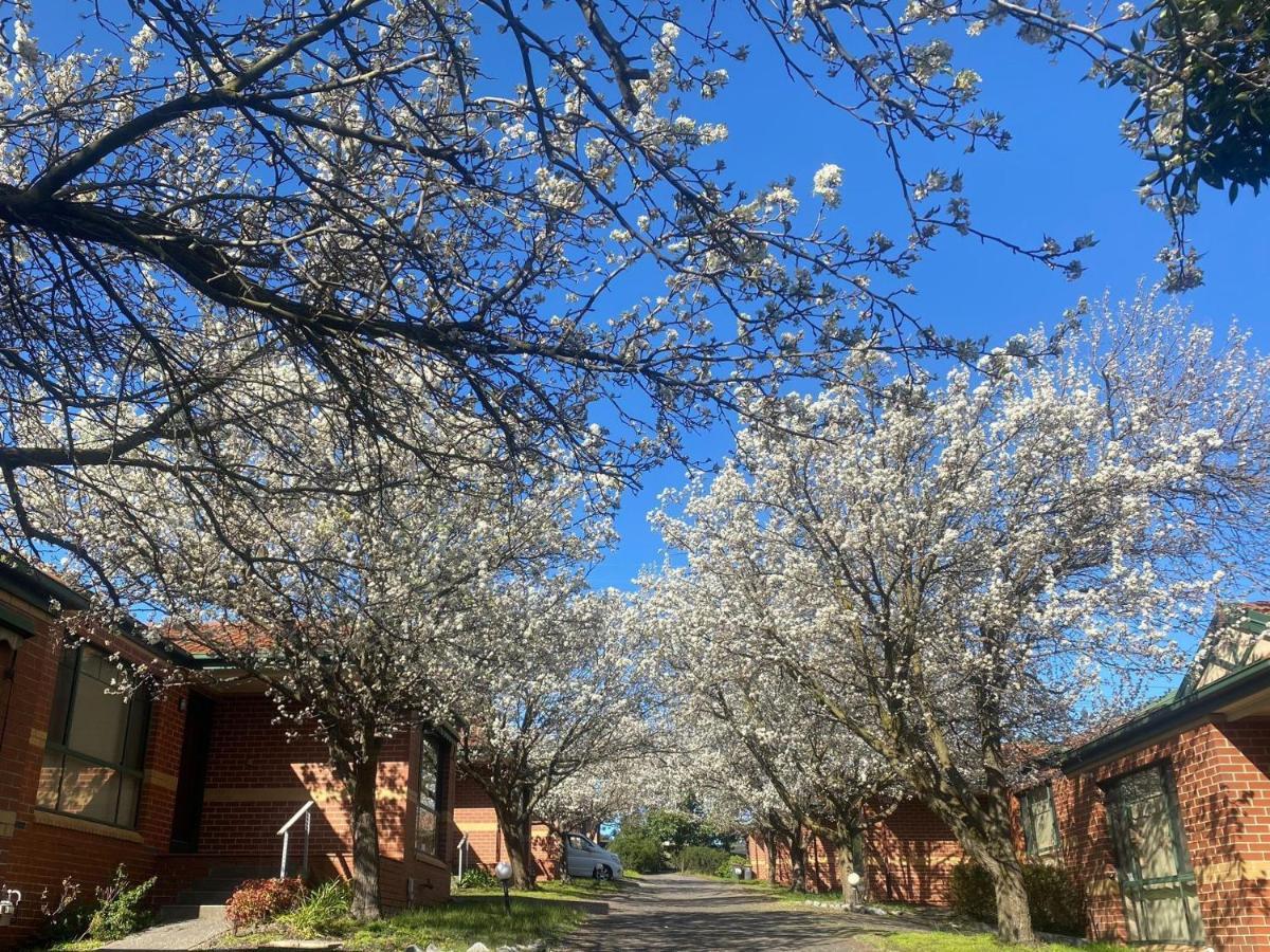 Mount Waverley Townhouses Exteriör bild