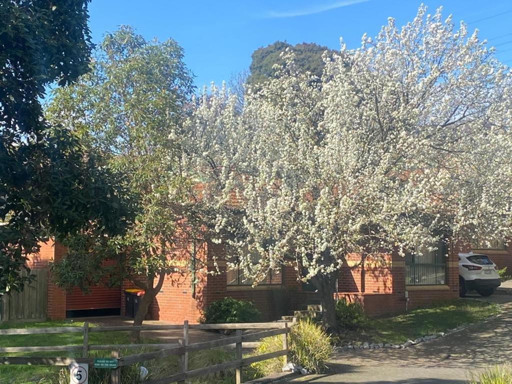 Mount Waverley Townhouses Exteriör bild