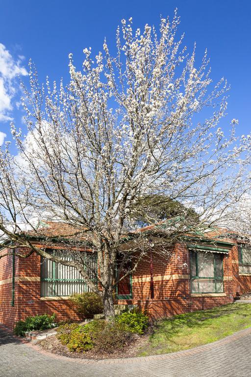 Mount Waverley Townhouses Exteriör bild